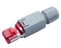 Conector RJ45 FM45 com 8 vias CAT-6A Macho- PLUG. PN R815651